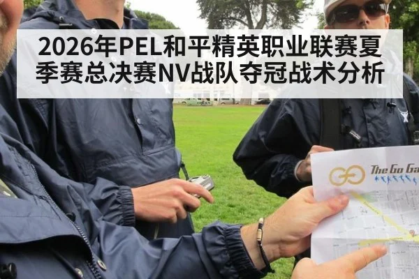 2026年PEL和平精英职业联赛夏季赛总决赛NV战队夺冠战术分析